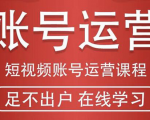短视频账号运营课程：从话术到短视频运营再到直播带货全流程，新人快速入门-第一资源库