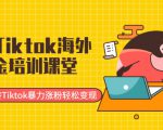 最新Tiktok海外掘金培训课堂：带你玩转Tiktok暴力涨粉轻松变现-第一资源库