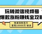 玩转微信视频号爆款涨粉赚钱全攻略，快速涨粉百万变现万元秘诀-第一资源库