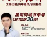 星哥同城教育书单号课程，无需出境简单操作项目稳定-第一资源库