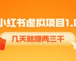 《小红书虚拟项目1.0》账号注册+养号+视频制作+引流+变现，几天就赚两三千-第一资源库