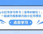 厦九九小红书学习年卡(全年IP孵化),沉浸式学习,一起成为有影响力的小红书博主-第一资源库