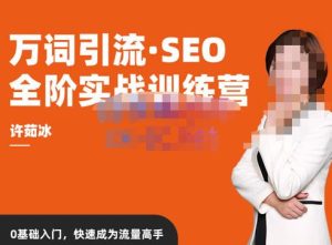 许茹冰·万词引流-SEO全阶实战训练营,0基础入门,快速成为流量高手-第一资源库