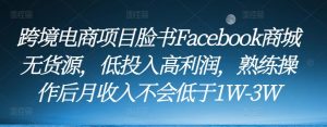 跨境电商项目脸书Facebook商城无货源,低投入高利润,熟练操作后月收入不会低于1W-3W-第一资源库