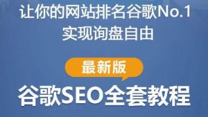 谷歌SEO实战教程:如何让你的网站在谷歌排名第一,内容从入门到高阶,适合个人及团队-第一资源库