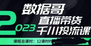 数据哥2023直播电商巨量千川付费投流实操课,快速掌握直播带货运营投放策略-第一资源库