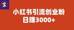 宝哥小红书引流创业粉,日赚3000+【揭秘】-第一资源库