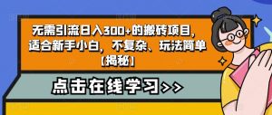 无需引流日入300+的搬砖项目,适合新手小白,不复杂、玩法简单【揭秘】-第一资源库