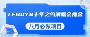 最新蓝海项目，靠最近非常火的TFBOYS十年之约演唱会流量掘金，八月必做的项目【揭秘】-第一资源库