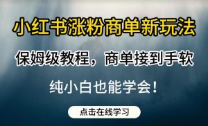 小红书涨粉商单新玩法,保姆级教程,商单接到手软,纯小白也能学会【揭秘】-第一资源库
