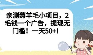 亲测薅羊毛小项目,2毛钱一个广告,提现无门槛!一天50+【揭秘】-第一资源库