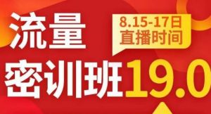 秋秋线上流量密训班19.0，打通流量关卡，线上也能实战流量破局-第一资源库