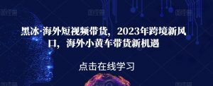 黑冰·海外短视频带货,2023年跨境新风口,海外小黄车带货新机遇-第一资源库