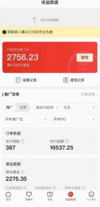 拼多多无人直播不封号玩法,0投入,3天必起,日入1000+-第一资源库