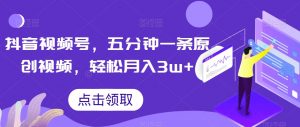 抖音视频号，五分钟一条原创视频，轻松月入3w+【独家秘诀，传授赚钱方法】【揭秘】-第一资源库