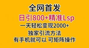 全网首发!日引800+精准老色批,一天变现2000+,独家引流方法,可矩阵操作【揭秘】-第一资源库