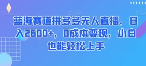 蓝海赛道拼多多无人直播,日入2600+,0成本变现,小白也能轻松上手【揭秘】-第一资源库