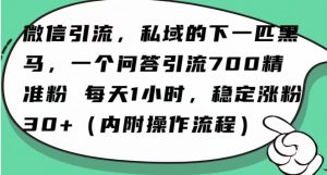 怎么搞精准创业粉?微信新赛道,每天一小时,利用Ai一个问答日引100精准粉-第一资源库