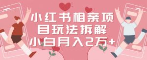 小红书相亲项目玩法拆解，有人通过这个副业项目做到了月收入2万多【揭秘】-第一资源库