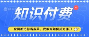 2024最新知识付费项目,小白也能轻松入局,全网都在教你做项目,我教你做镰刀【揭秘】-第一资源库