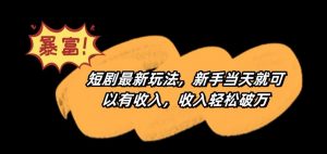 短剧最新玩法,新手当天就可以有收入,收入轻松破万【揭秘】-第一资源库