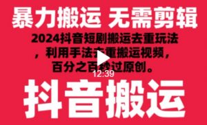 2024最新抖音搬运技术,抖音短剧视频去重,手法搬运,利用工具去重,达到秒过原创的效果【揭秘】-第一资源库