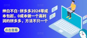 拼多多2024零成本包起,0成本做一个高利润的拼多多,方法不只一个-第一资源库