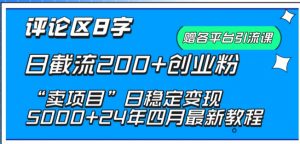 抖音评论区8字日截流200+创业粉 “卖项目”日稳定变现5000+【揭秘】-第一资源库