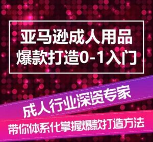 亚马逊成人用品爆款打造0-1入门，系统化讲解亚马逊成人用品爆款打造的流程-第一资源库