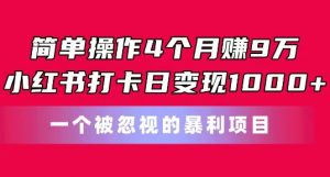 简单操作4个月赚9w,小红书打卡日变现1k,一个被忽视的暴力项目【揭秘】-第一资源库