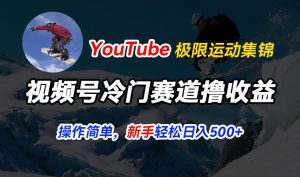 视频号冷门赛道撸收益，YouTube搬运极限运动集锦，暴力起号，操作简单流量高，轻松日入5张【揭秘】-第一资源库