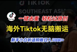 海外Tiktok短视频无脑搬运,一键去重轻松过原创,新手小白听话照做日入几张【揭秘】-第一资源库