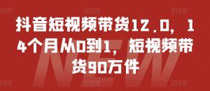抖音短视频带货12.0，14个月从0到1，短视频带货90万件-第一资源库