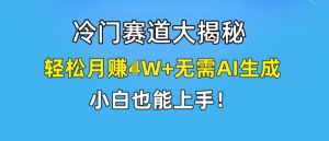 冷门赛道大揭秘,轻松月赚1W+无需AI生成,小白也能上手【揭秘】-第一资源库