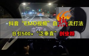 抖音EMO视频自热打法,日引500+“泛垂直”创业粉-第一资源库