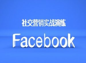 Facebook社交营销实战演练,外贸人绝对不能错过的营销推广平台-第一资源库