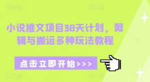 小说推文项目38天计划,剪辑与搬运多种玩法教程-第一资源库