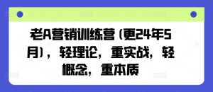 老A营销训练营(更24年12月)，轻理论，重实战，轻概念，重本质-第一资源库
