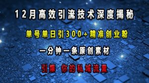 最新高效引流技术深度揭秘 ,单号单日引300+精准创业粉,一分钟一条原创素材,引爆你的私域流量-第一资源库