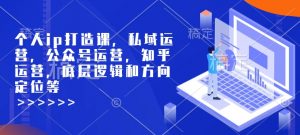 个人ip打造课,私域运营,公众号运营,知乎运营,底层逻辑和方向定位等-第一资源库