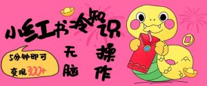 小红书冷知识账号,无脑复制粘贴,5分钟即可变现3张-第一资源库
