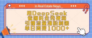 用DeepSeek做哪吒走秀视频,引爆流量涨粉利器,单日变现1k-第一资源库