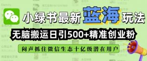 小绿书无脑搬运引流,全自动日引500精准创业粉,微信生态内又一个闷声发财的机会-第一资源库