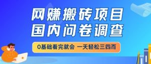 网创搬砖项目,国内问卷调查,小白轻松上手,一天三四张的也不难,干就完了【揭秘】-第一资源库