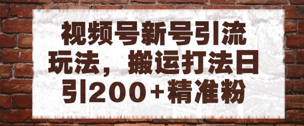 视频号新号引流玩法，搬运打法日引200+精准粉，可矩阵放大【揭秘】-第一资源库
