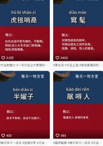 抖音最新涨粉玩法,图文方言暴力涨粉实操,126作品涨粉11W-第一资源库