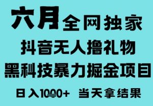 25年6月高爆抖音无人直播最新撸音浪掘金项目，门槛低小白可做，无脑日入1k，可矩阵放大【揭秘】-第一资源库