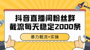 抖音直播间粉丝群暴力截流,一台电脑每天稳定2000条数据【揭秘】-第一资源库