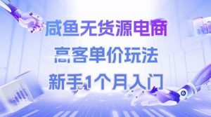 咸鱼无货源电商，高客单价玩法，新手1个月入门-第一资源库