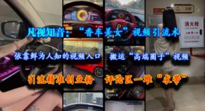 凡视知音:“香车美女”视频引流术,依靠鲜为人知的视频入口,搬运“高端圈子”视频,引流精准创业粉,评论区一堆“求带”-第一资源库